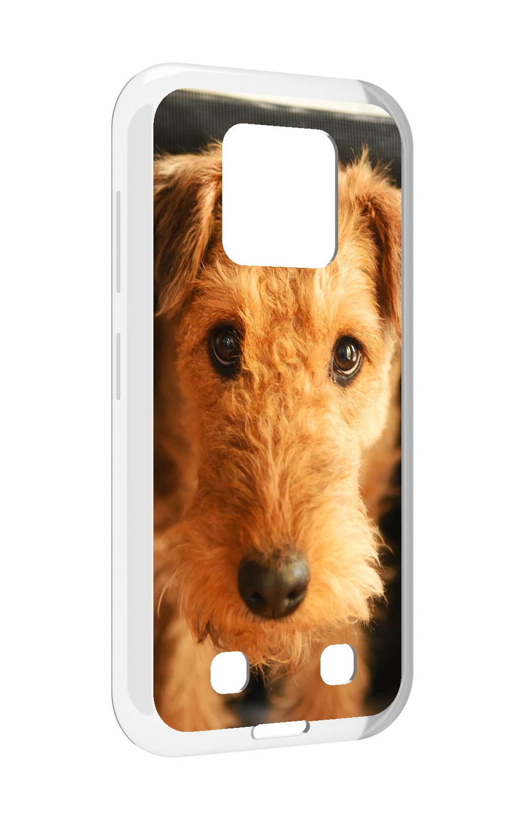 

Чехол MyPads эрдельтерьер для Oukitel WP18, Прозрачный, Tocco