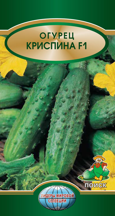 

Семена овощей огурец Криспина F1 Поиск 400075 1,2 г