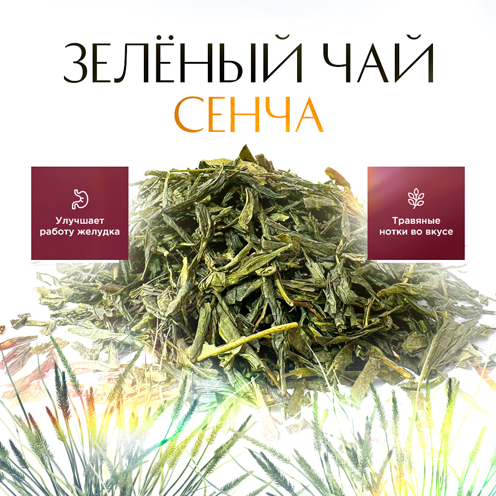 Чай листовой STATE TEA Сенча, 100 г