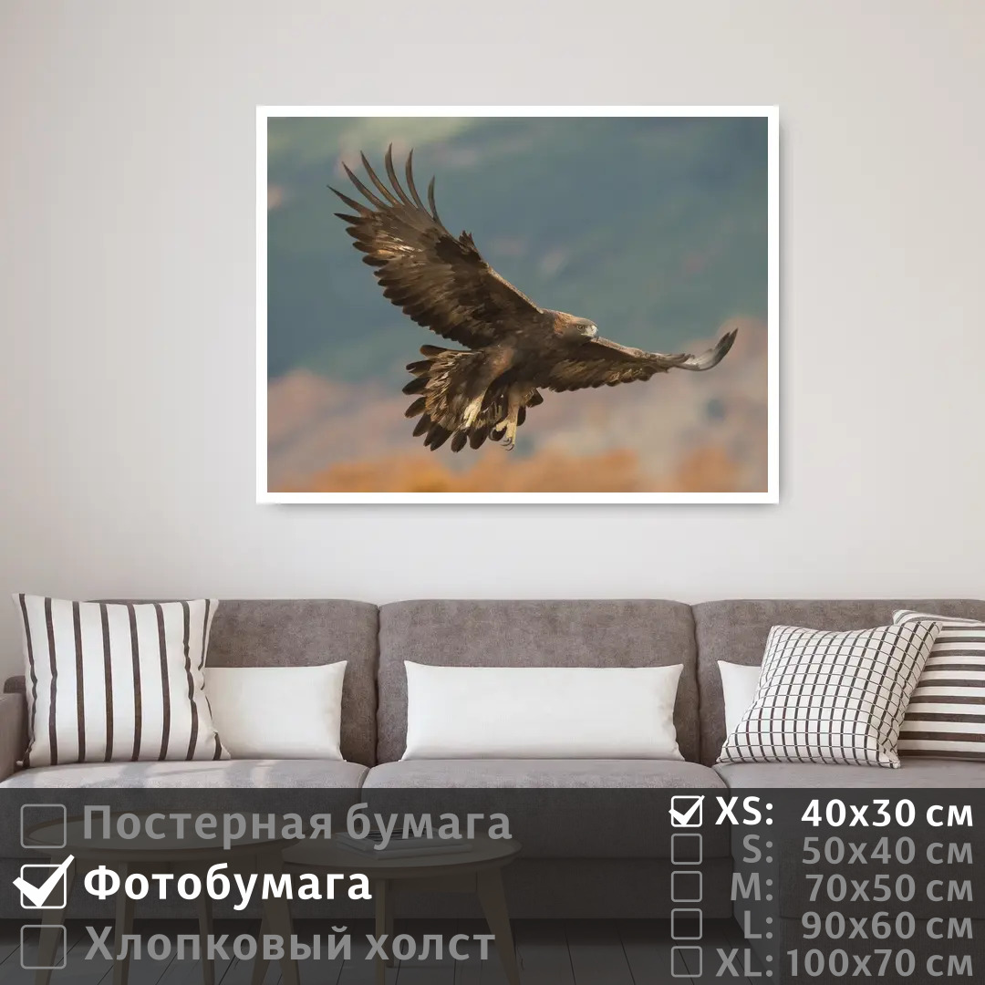 

Постер на фотобумаге ПолиЦентр Парящий орел в небе 40х30 см, ПарящийОрелВНебе