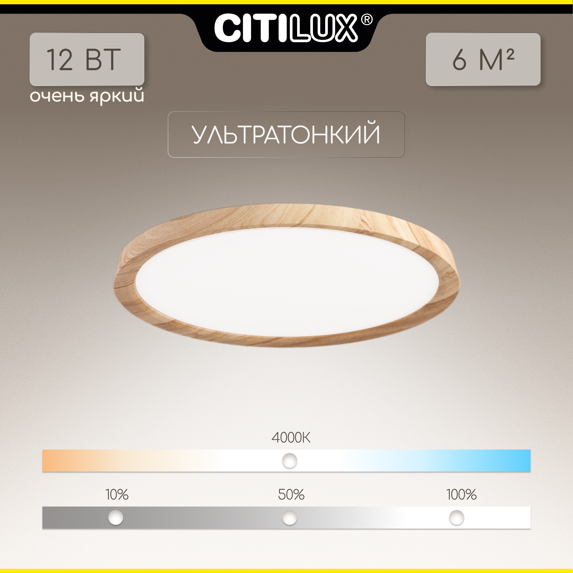 Светильник Citilux CL738122N