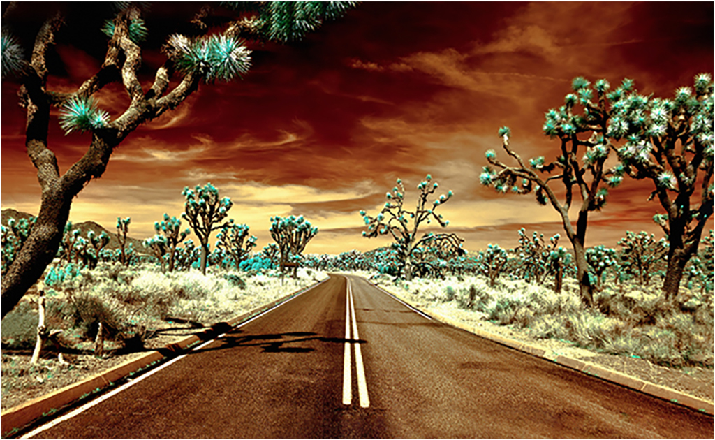 

Картина на холсте с подрамником ХитАрт Дорога 40x25 см, 5339