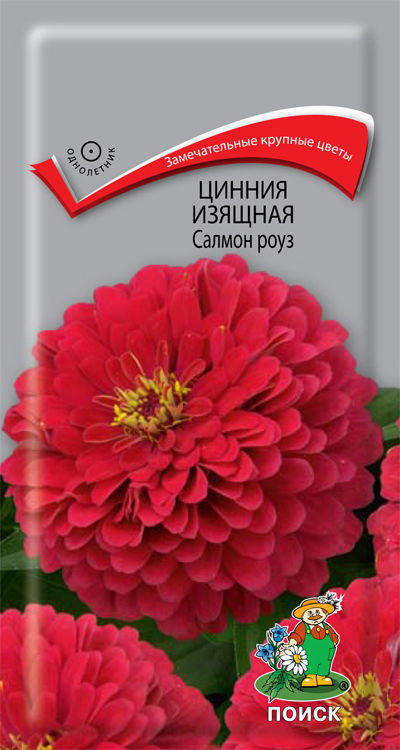 

Семена цинния Поиск Салмон роуз 580949 1 уп.