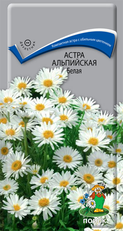 

Семена. "Астра альпийская. Белая" (вес: 0,04 г)