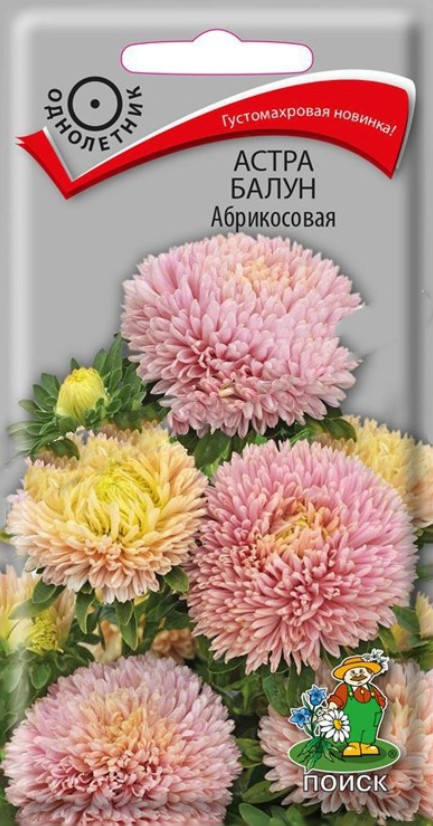 

Семена астра Поиск Балун абрикосовая 738495 1 уп.
