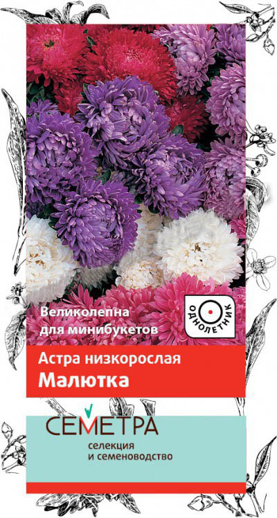 

Семена астра Поиск Малютка 722730 1 уп.