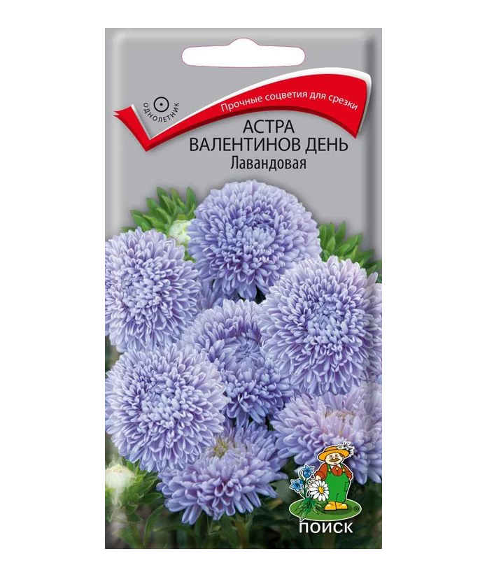 

Семена астра Поиск Валентинов день лавандовая 140752 1 уп.