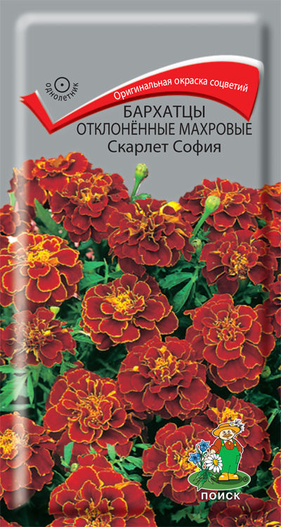 

Семена. "Бархатцы отклоненные махровые. Скарлет София" (вес: 0,4 г)