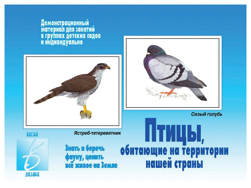 фото Игра "птицы, обитающие на территории нашей страны" весна-дизайн