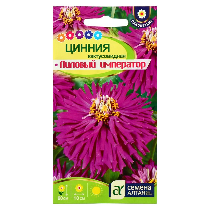 

Семена цветов Цинния "Лиловый император" кактусовидная, О, цп, 0,2 г