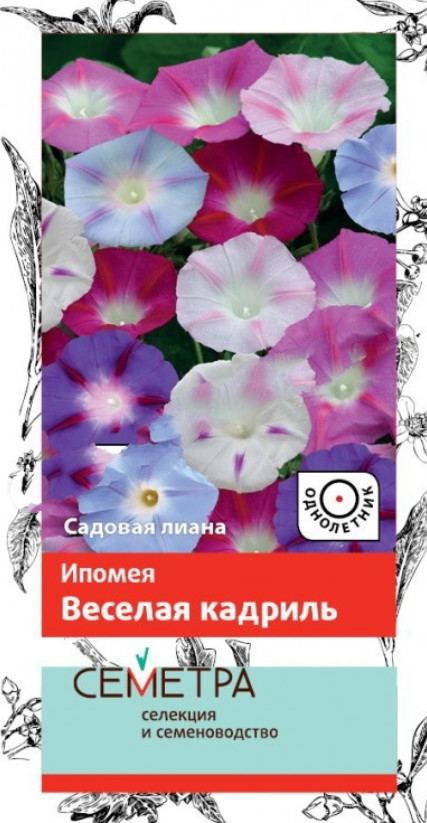 

Семена ипомея Поиск Веселая кадриль 722745 1 уп.