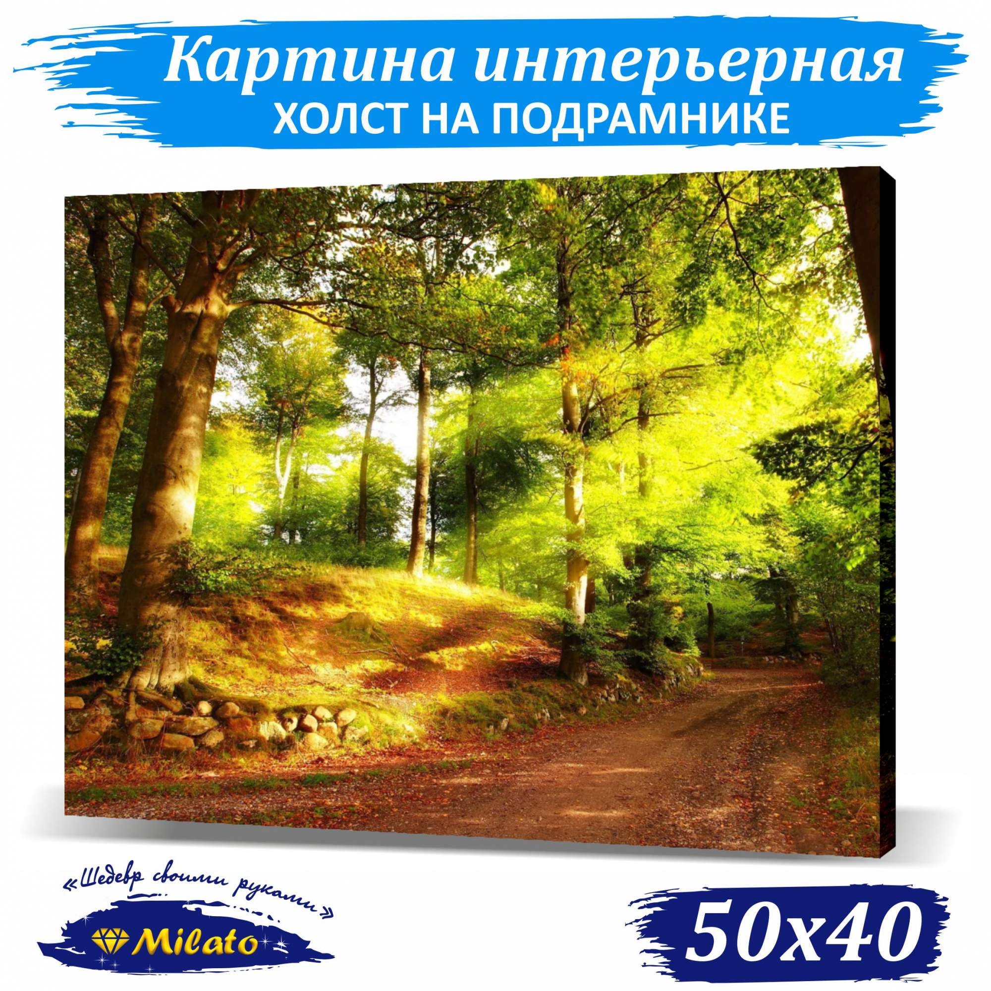 

Картина интерьерная на холсте Milato Магия леса IP54-8 50x40см, Магия леса