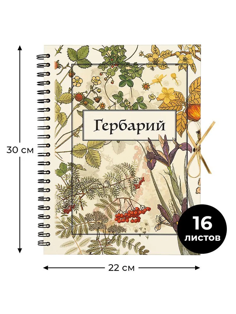 

Альбом для гербария А4 Рябина с иллюстрациями, 20 листов, в подарочной коробке., Рябина