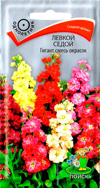

Семена левкой Поиск Гигант смесь окрасок 310758 1 уп.