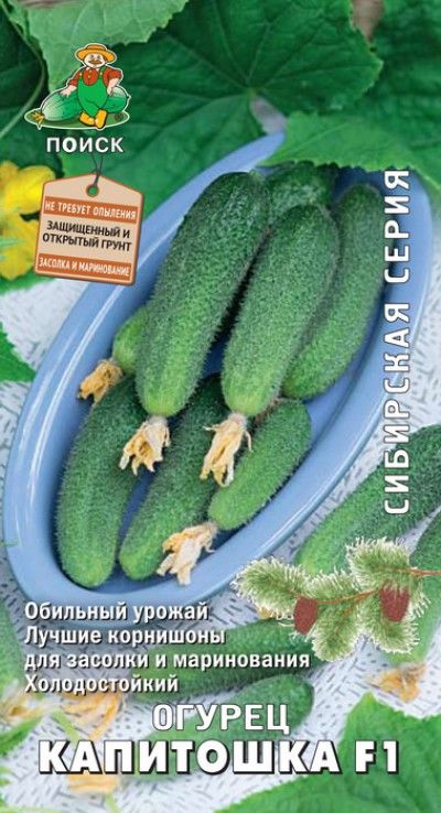 

Семена огурец Поиск Капитошка F1 731660 1 уп.