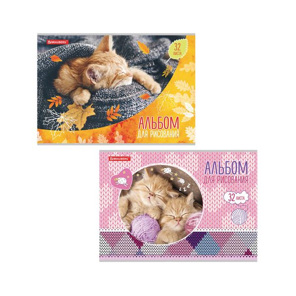 

Альбом для рисования А4 32 л скоба BRAUBERG 202х285 мм Котята 2 вида 105613