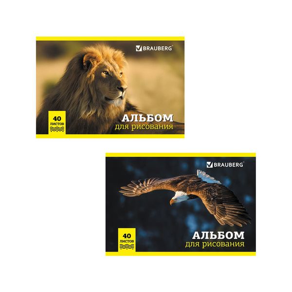 

Альбом для рисования А4 40 л скоба BRAUBERG 200х283 мм Дикие животные 2 вида 104876