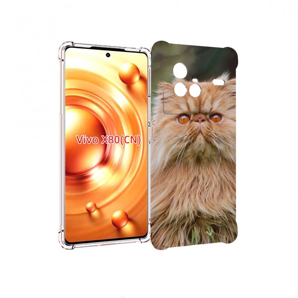 Чехол Mypads Кошка Персидская Для Vivo X80