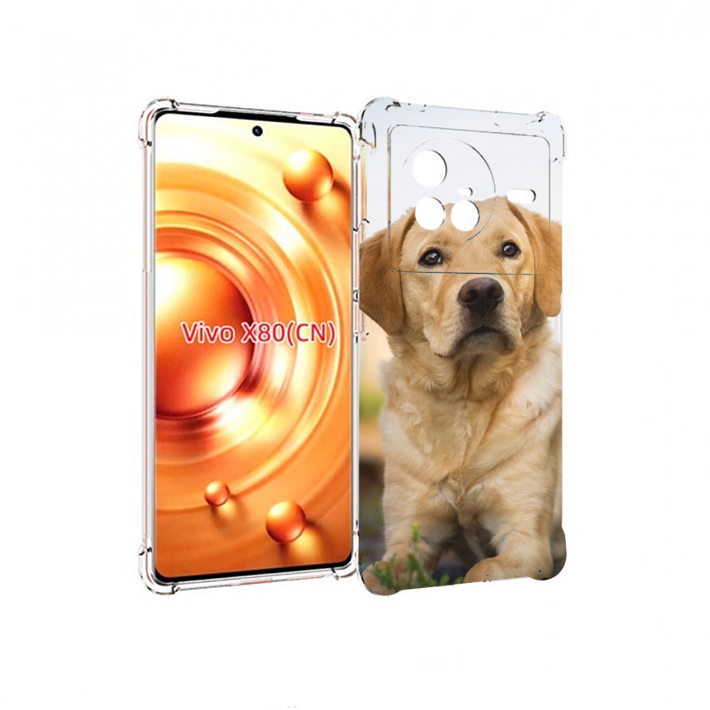 

Чехол Mypads Лабрадор Ретривер Для Vivo X80, Прозрачный, Tocco