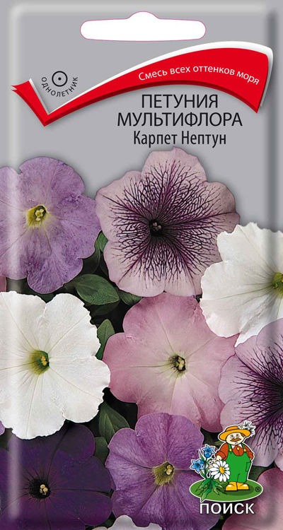 

Семена. "Петуния мультифлора. Карпет Нептун" (20 штук)