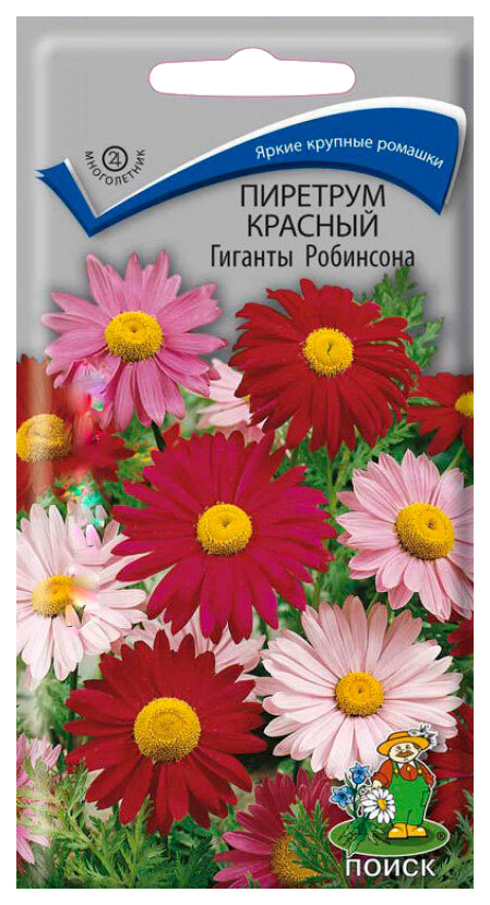 

Семена пиретрум Поиск Гиганты робинсона 430437 1 уп.