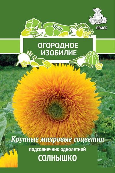 

Семена подсолнечник Поиск Солнышко 715105 1 уп.