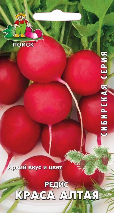

Семена редис Поиск Краса алтая 712747 1 уп.