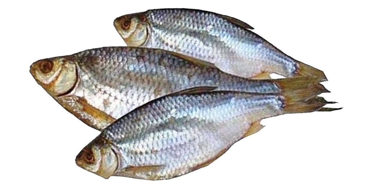Рыба сушеная