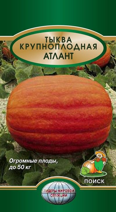 

Семена тыква Поиск Атлант 691252 1 уп.
