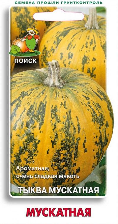 

Семена тыква Поиск Тыква мускатная 701544 1 уп.