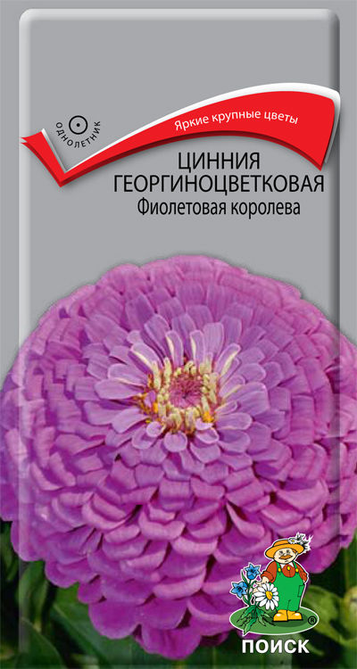 

Семена цинния Поиск Фиолетовая королева 580903 1 уп.