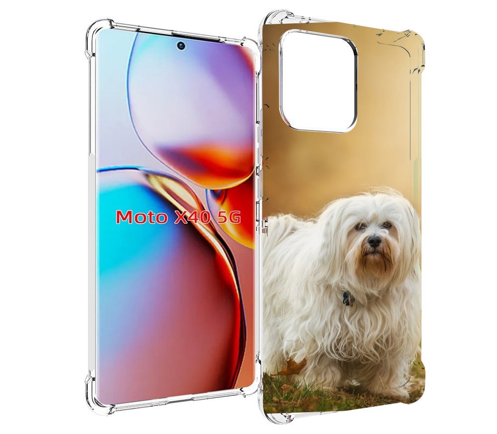 

Чехол MyPads гаванскии бишон для Motorola Moto X40, Прозрачный, Tocco