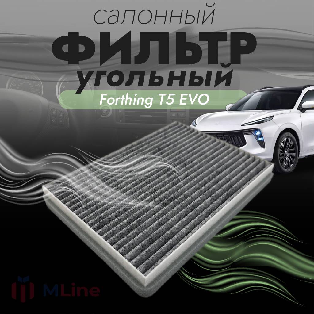 Фильтр салона угольный Che Shuang CC-C210K (CCC210k) для Forthing T5 EVO