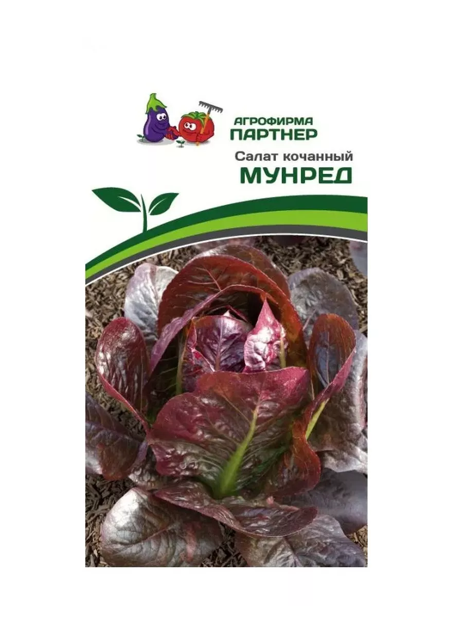 

Семена салат Агрофирма Партнер Кочанный art0015-psams4371 5 уп.