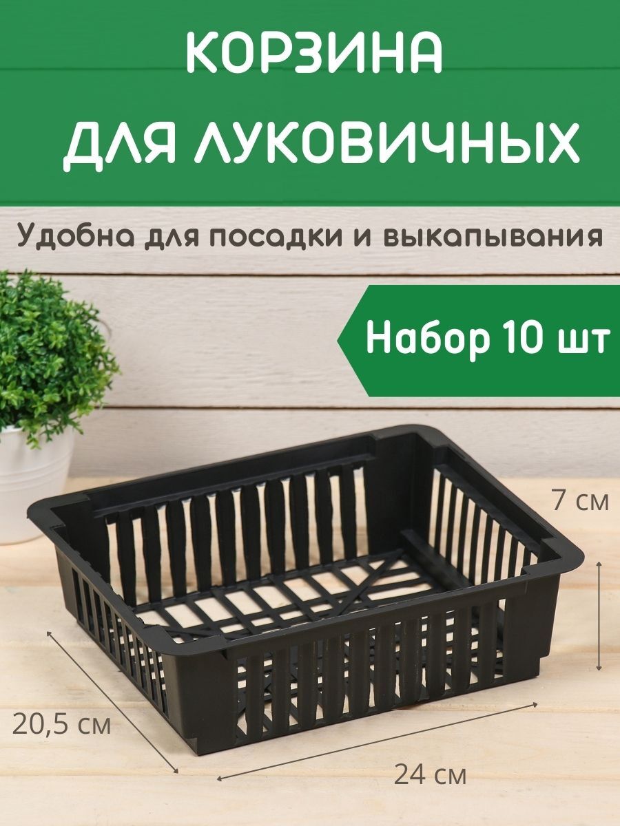 

Корзина для луковичных прямоугольная набор 10 шт