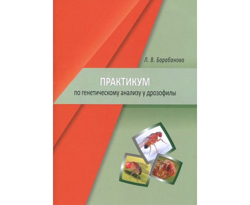 

Практикум по генетическому анализу у дрозофилы / Барабанова Л.В.