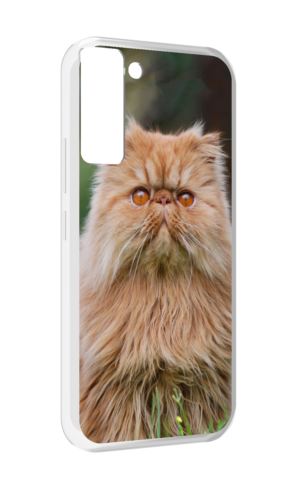 Чехол MyPads кошка персидская для Tecno Pop 5 LTE / Pop 5 Pro
