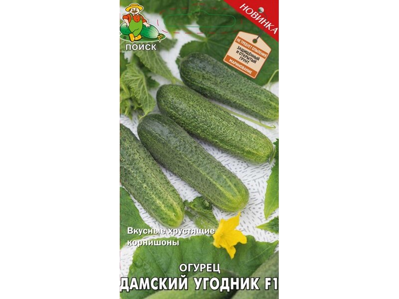 

Семена огурец Поиск Дамский Угодник F1 735097 1 уп.