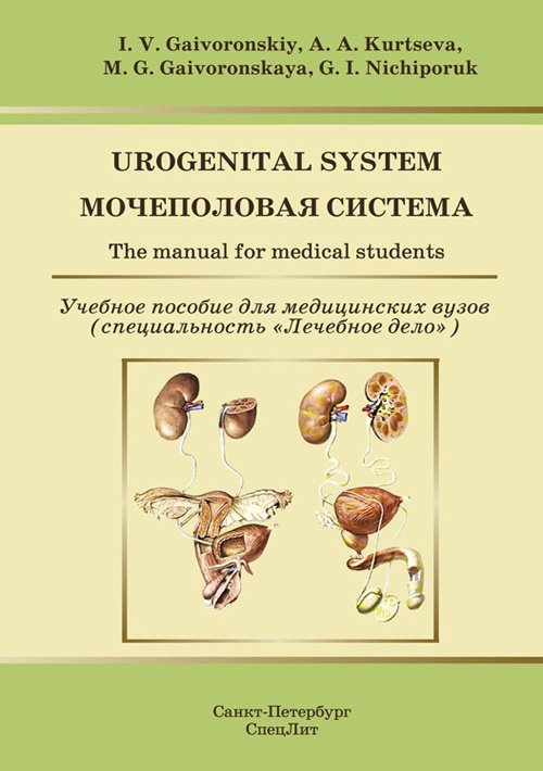 

Мочеполовая система. Учебное пособие