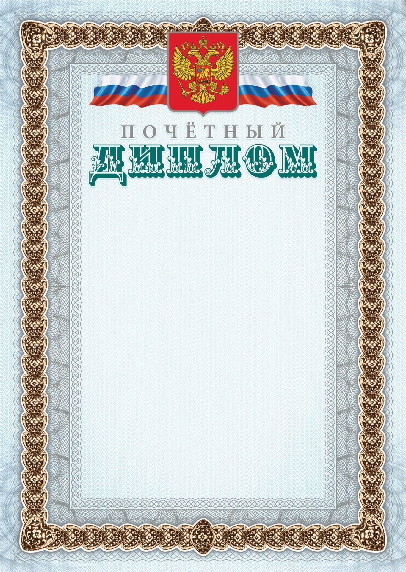 

Почётный диплом (серебро)