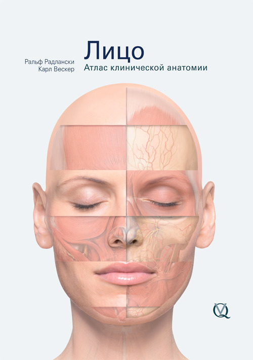 

Лицо. Атлас клинической анатомии