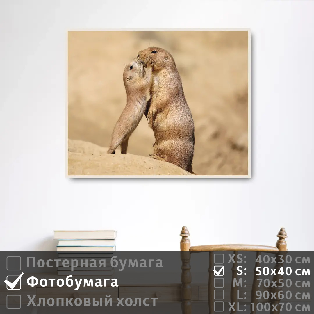 

Постер на фотобумаге ПолиЦентр Ребенок суриката целует свою маму 50х40 см, РебенокСурикатаЦелуетСвоюМаму