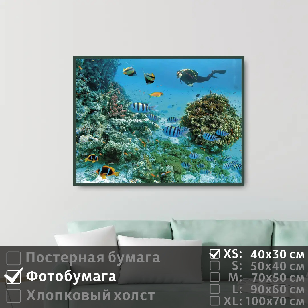 

Постер на фотобумаге ПолиЦентр Морские рыбы под водой с дайвером 40х30 см, МорскиеРыбыПодВодойСДайвером