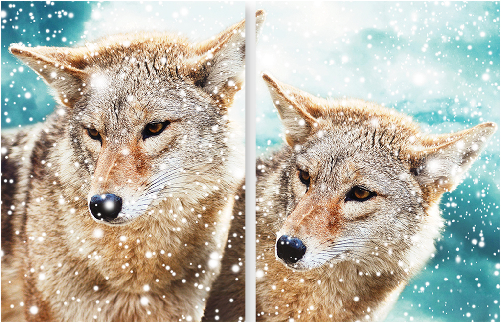 

Картина модульная на холсте Модулка Волки 120x79 см, 279