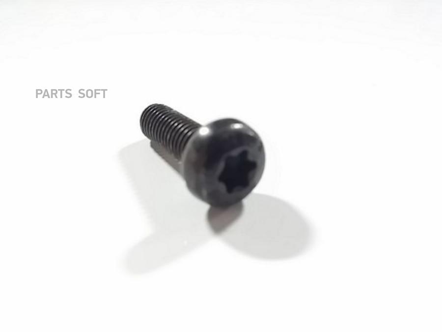 

VOLVO 986200 Винт с внутренним TORX, М5х16 1шт