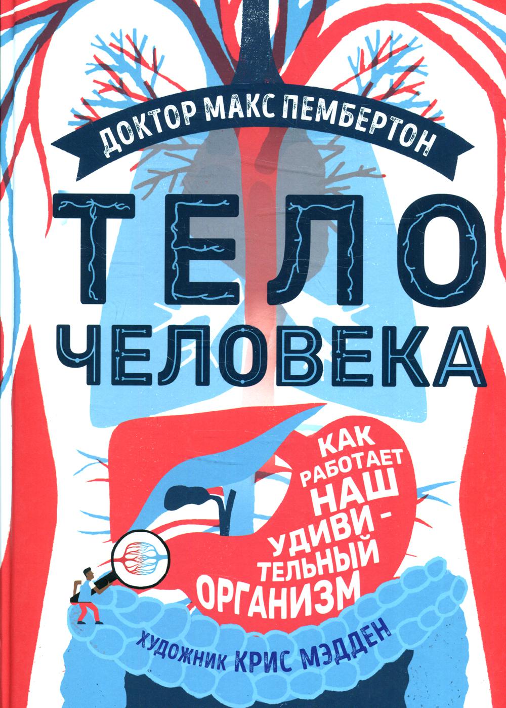

Тело человека