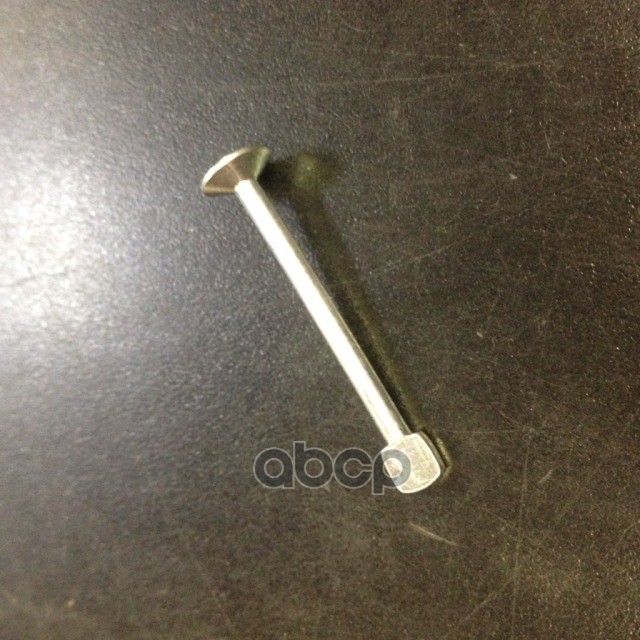 

Штифт Крепления Задних Колодок NISSAN арт. 4408195F0A