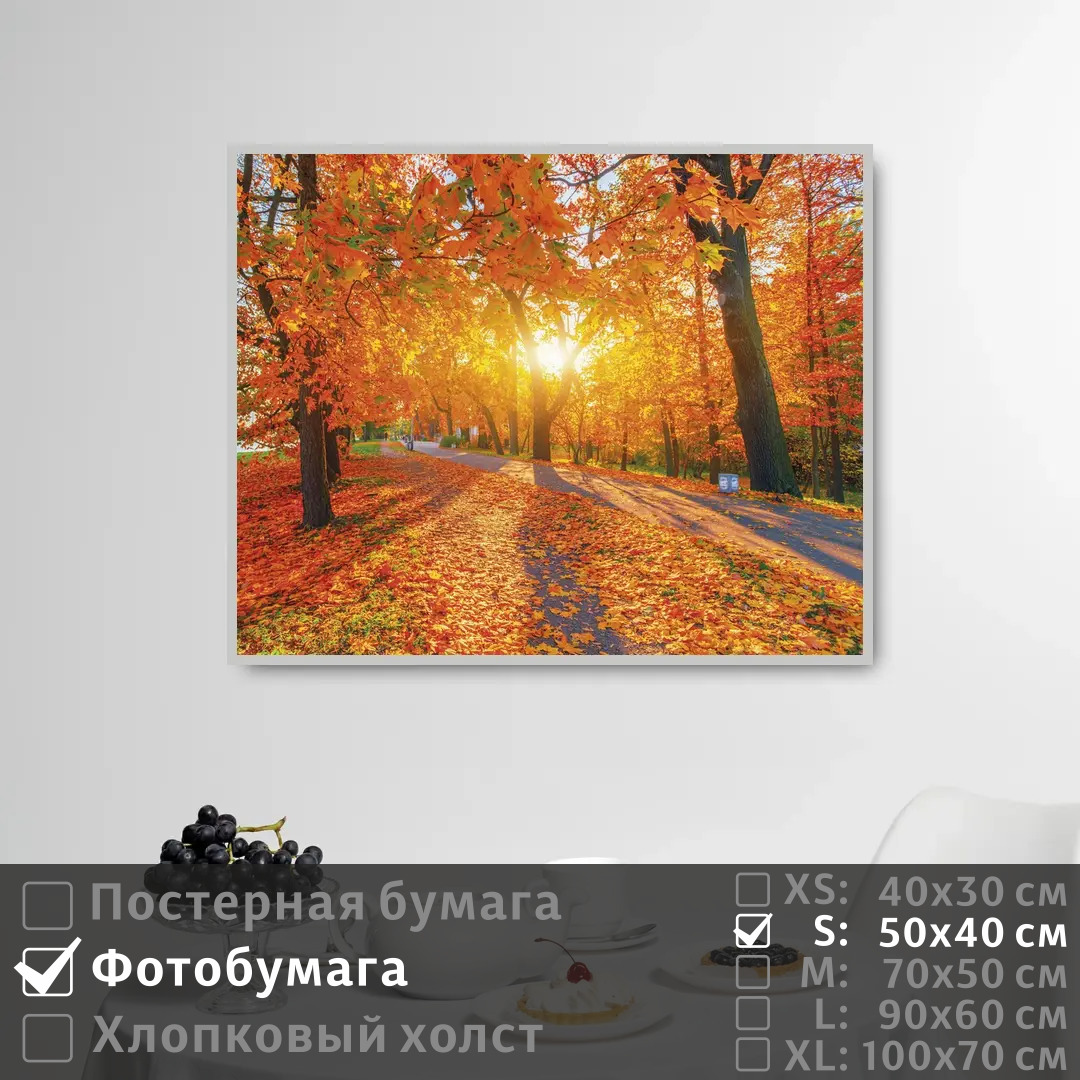 

Постер на фотобумаге ПолиЦентр Рассвет в осеннем парке 50х40 см, РассветВОсеннемПарке