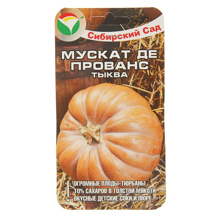 Тыква мускат де прованс фото