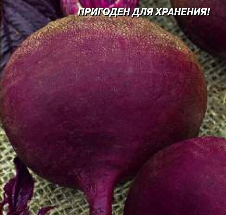 

Семена овощей свекла Смуглянка Плазменные семена 11100672 2 г